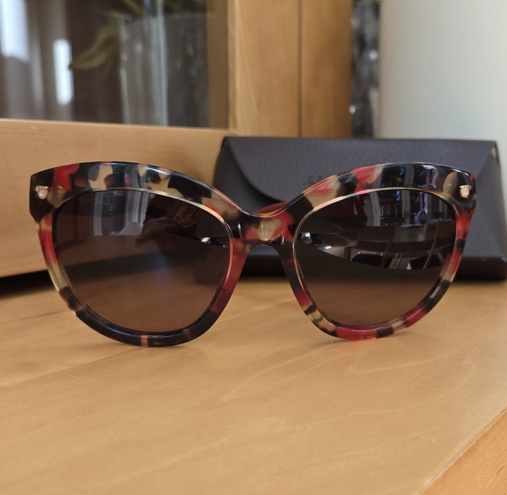 Ferragamo Sunglasses